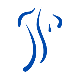 Dublin Chiropractic