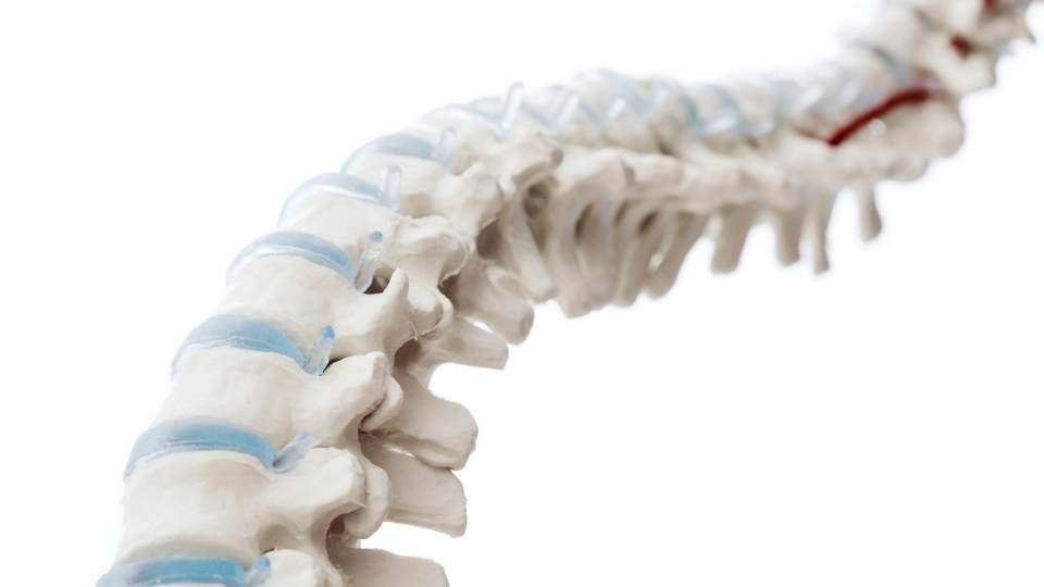 Can Physio Make Sciatica Worse? Dublin Physio & Chiropractic