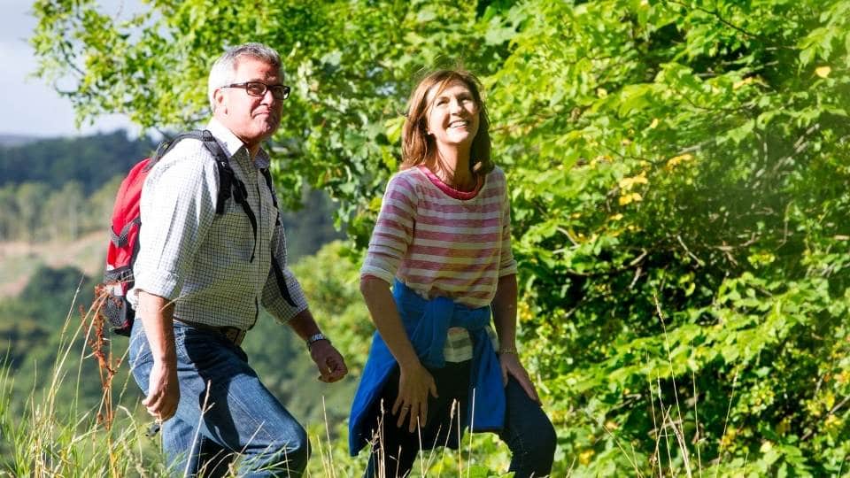 Degenerative Disc Disease Dublin Physio & Chiropractic