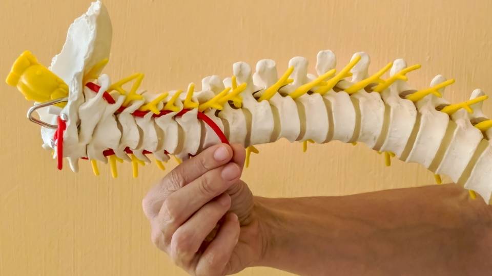 Shin Splits Treatment & Relief