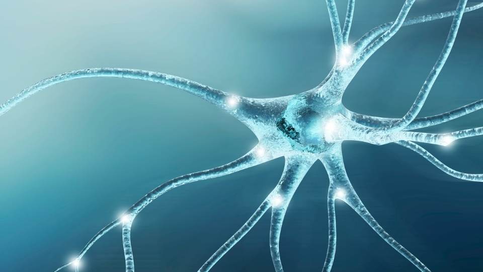 Trigeminal Neuralgia Treatment & Relief