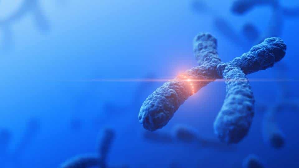 Genetics Headaches and Migraines Treatments